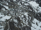 DSC00555